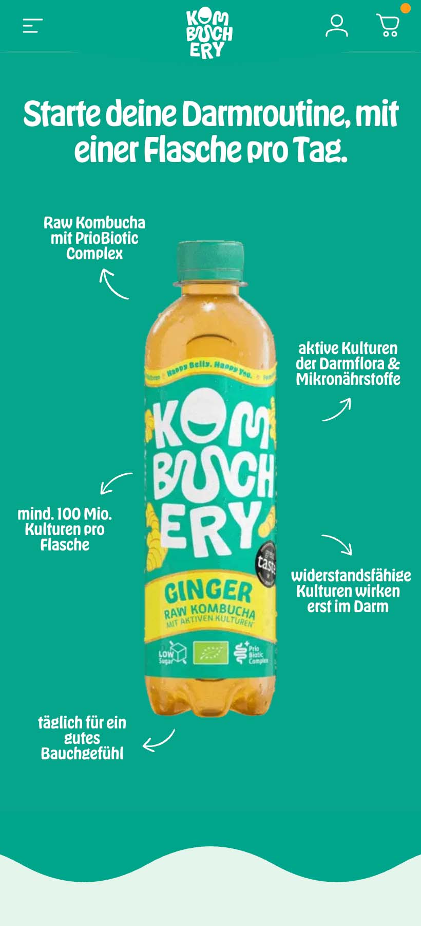 uplifts-gmbh-shopify-agentur-plus-partner-kombuchery.de_ (7)