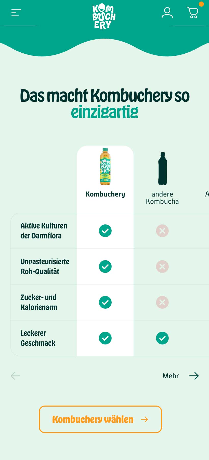 uplifts-gmbh-shopify-agentur-plus-partner-kombuchery.de_ (8)