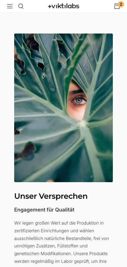 Viktilabs Mobile: Abschnitt Versprechen